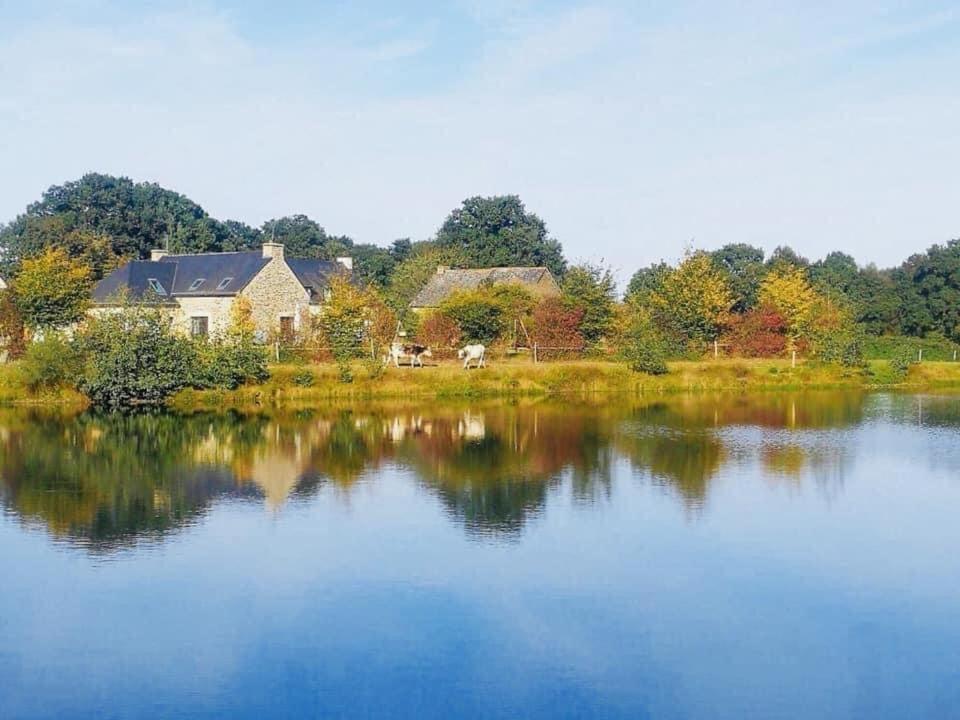 La Chapelle-CaroAu Petit Bonheur De Claire Et Jo住宿加早餐旅馆 外观 照片